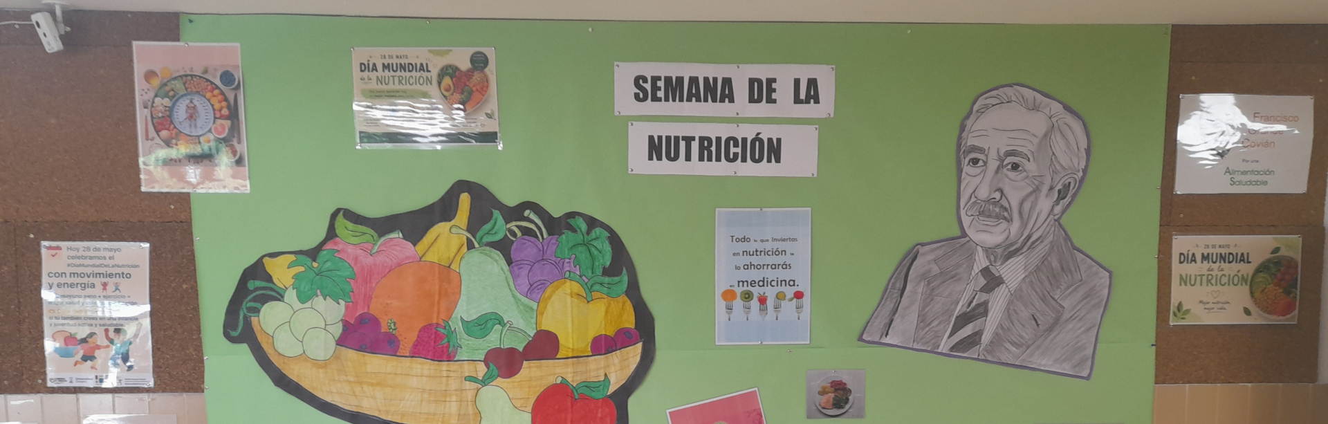 28 de Mayo, Día mundial de la Nutrición