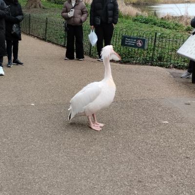London25 046