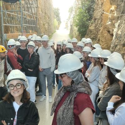 Atapuerca 26 017