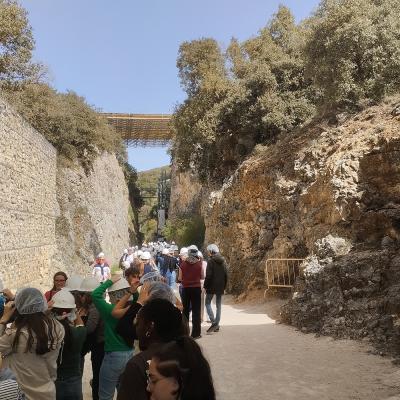 Atapuerca 26 024