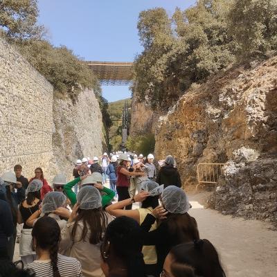Atapuerca 26 025