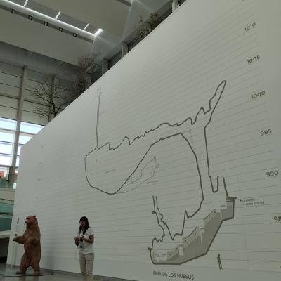 Atapuerca 26 053