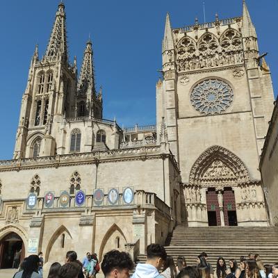 Atapuerca 26 069