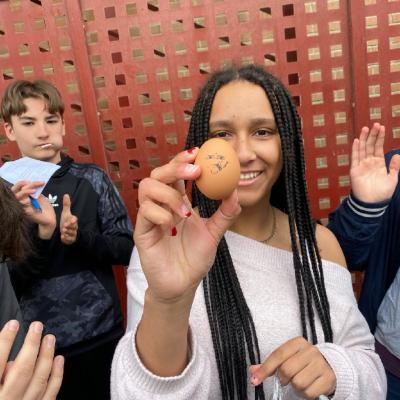 Huevos 25 005