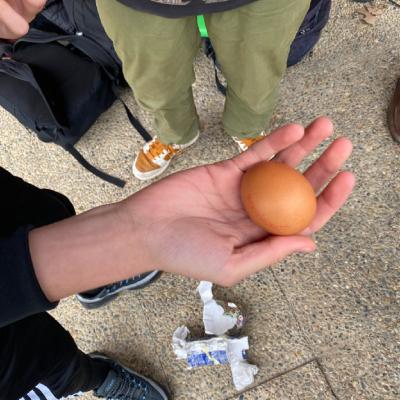 Huevos 25 008