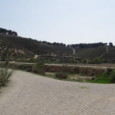 Dsc04161