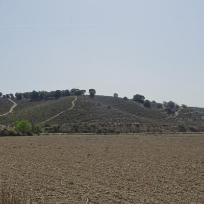 Dsc04162
