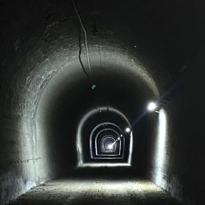 Un Viaje Hacia La Luz Del Primer Segundo Del Universo
