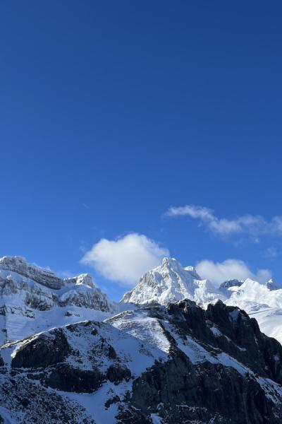 Nieve25 6