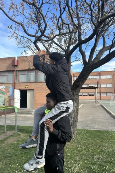 Comederos1